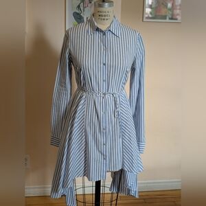 Imperial | Blue Striped Women's Dress | Large, Oversized
